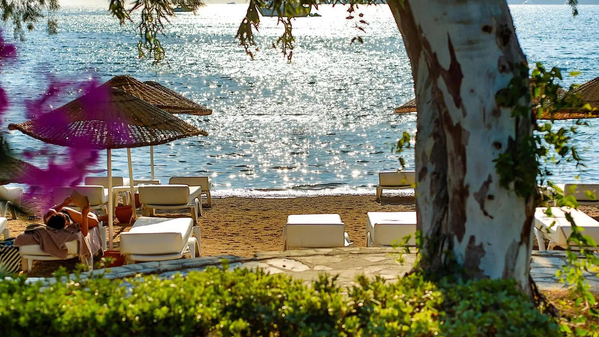 Hotel Anemon Kent Trabzon Otel Yalikavak