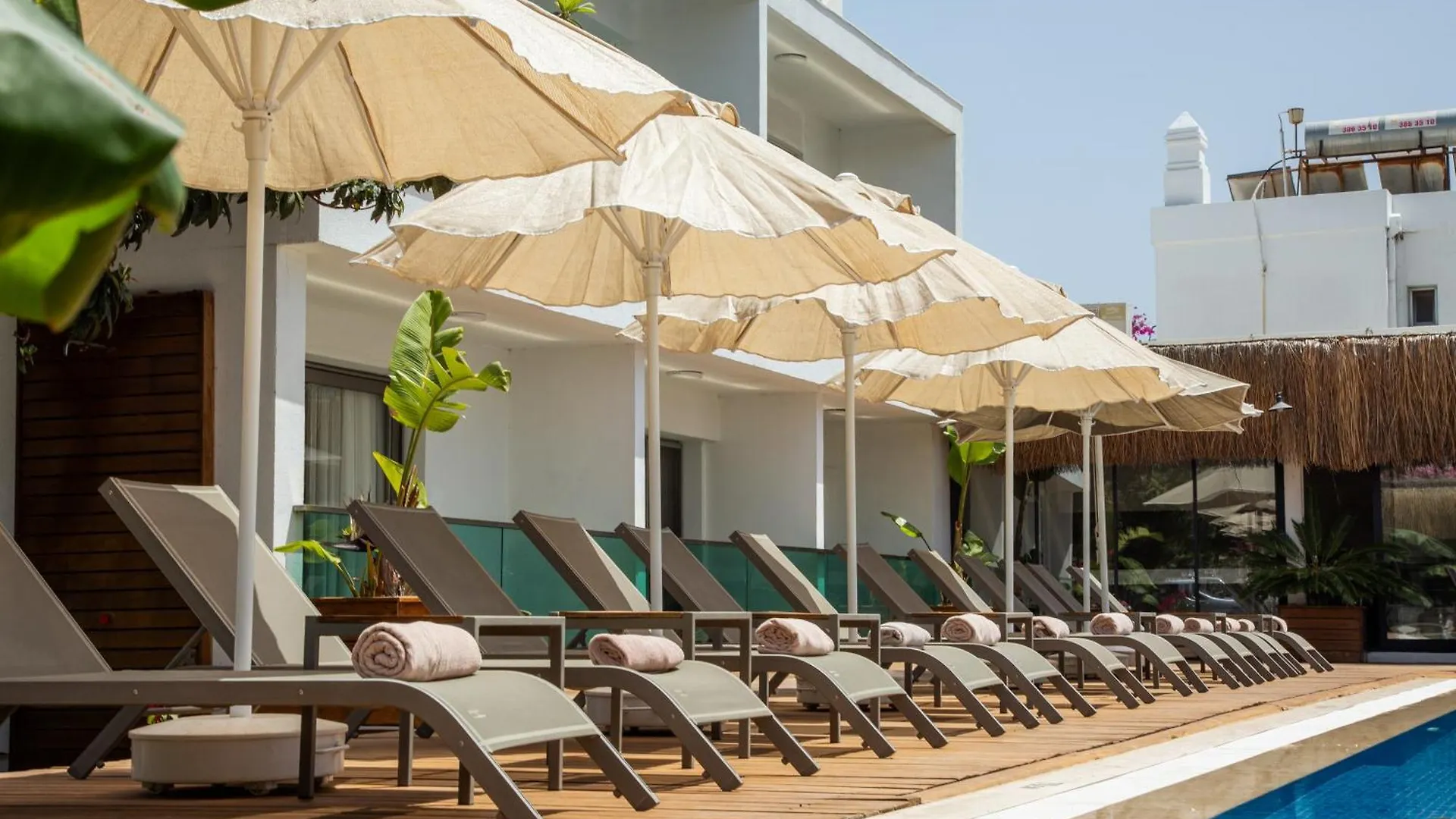Hotel Anemon Kent Trabzon Otel Yalikavak