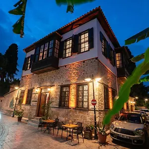 Cedrus Antalya